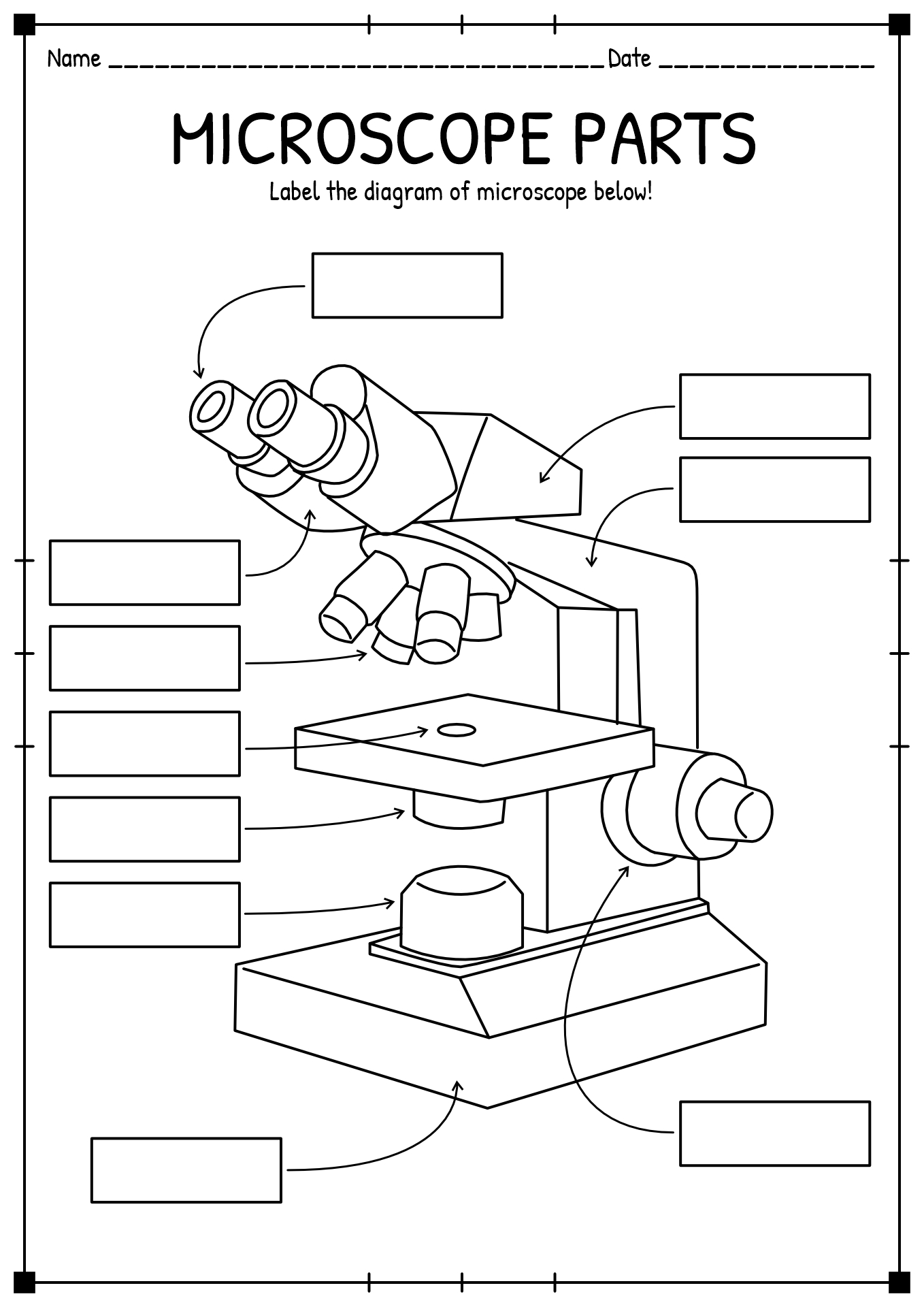 Compound Light Microscope Diagram Labeled