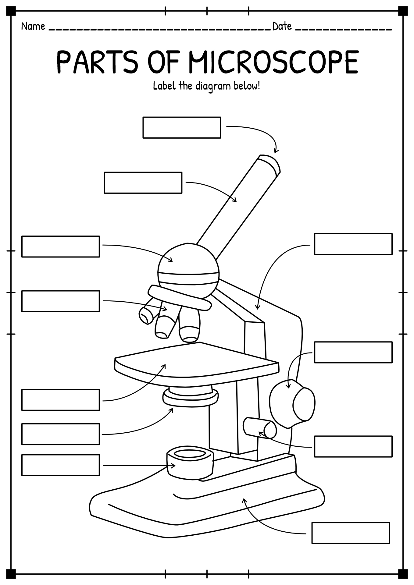 Compound Light Microscope Parts Worksheet