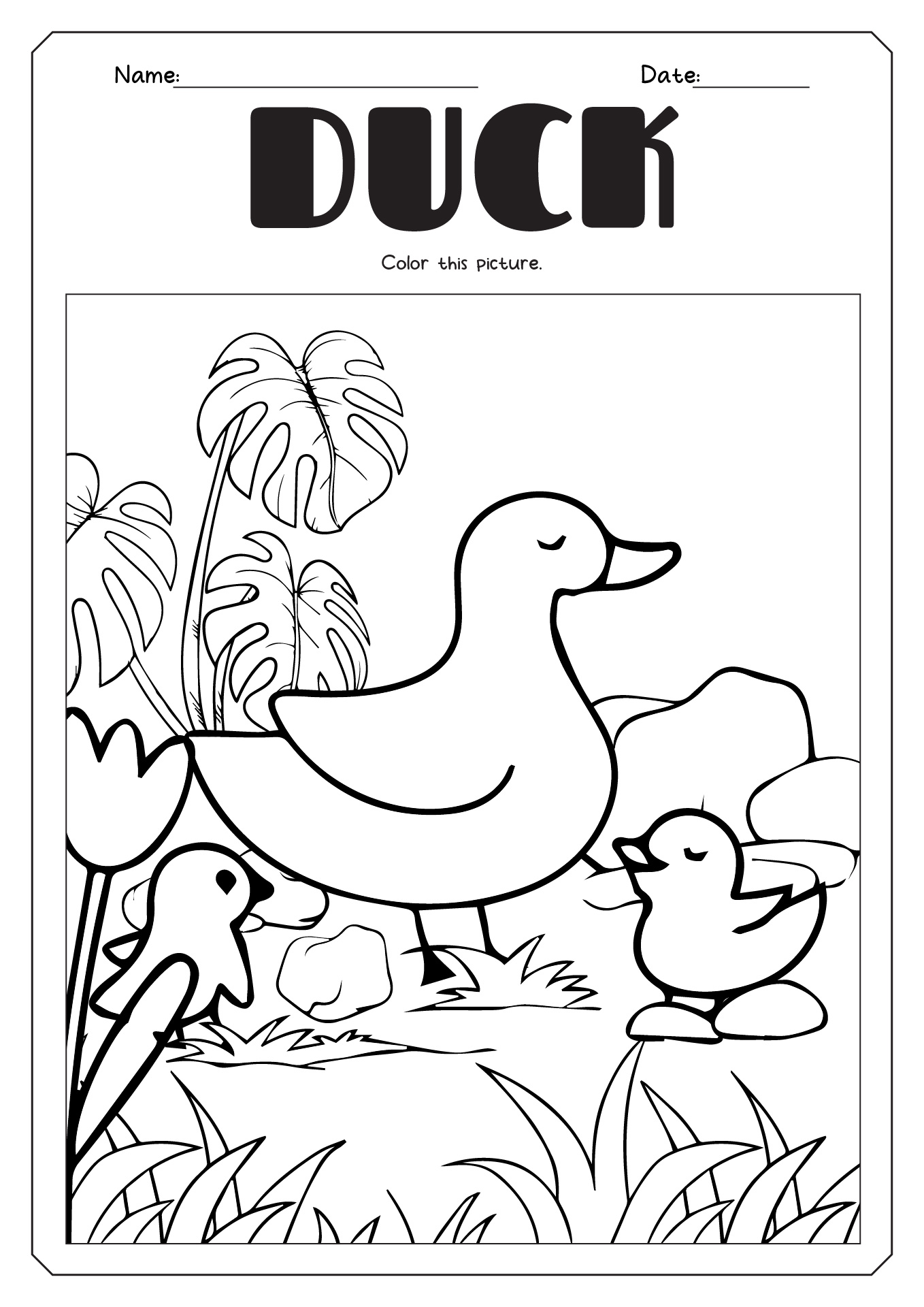 Duck Clip Art Line Drawings Image