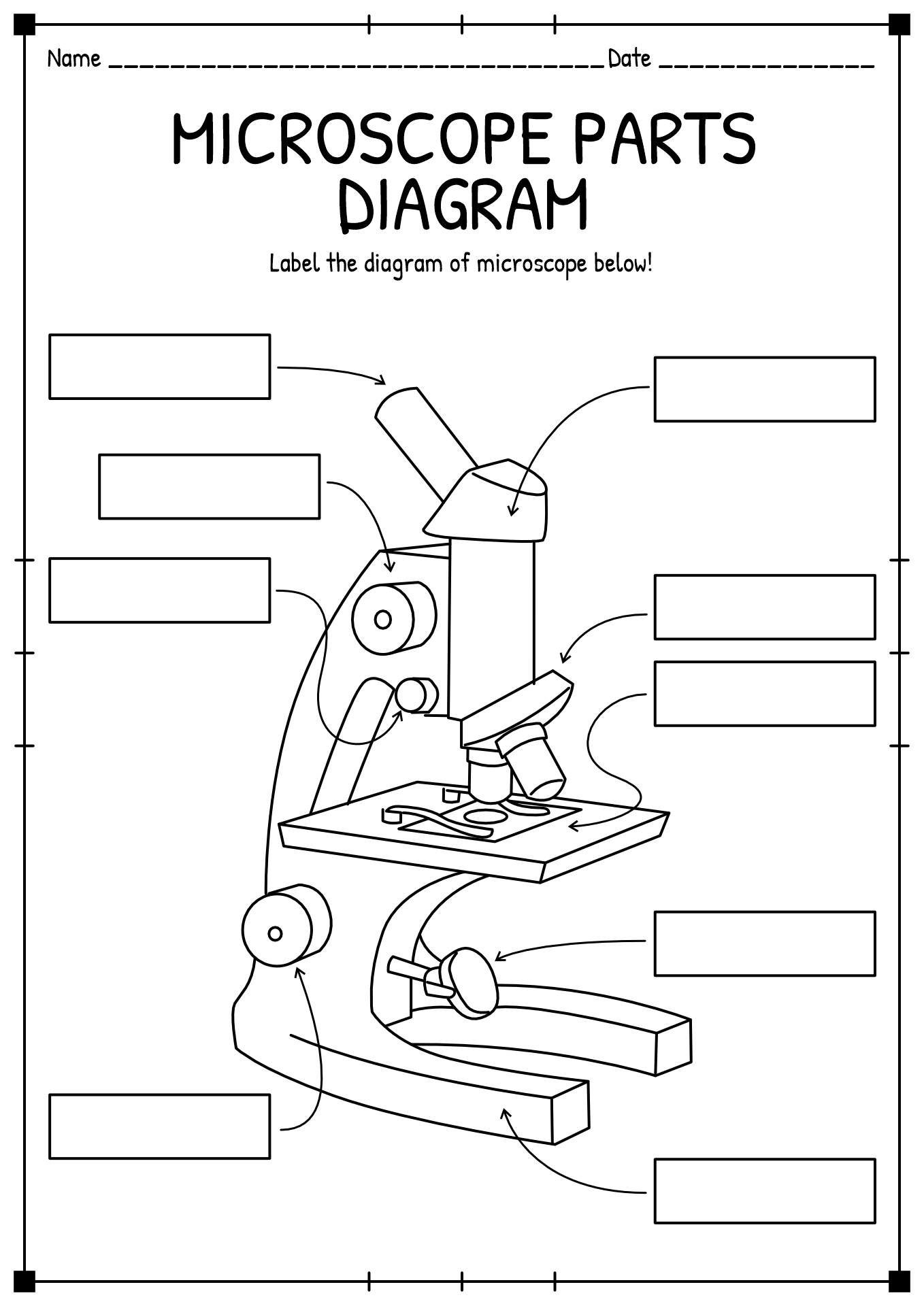 Microscope Parts Worksheet
