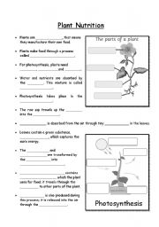 Middle School Nutrition Worksheets Image