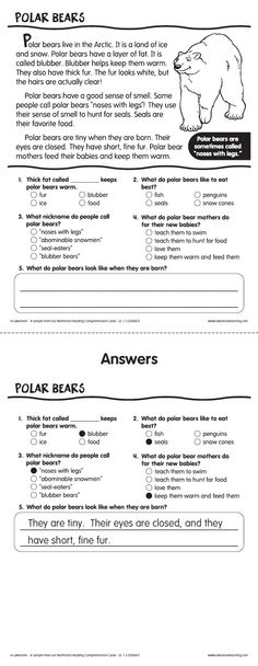 Polar Bear Reading Comprehension Image