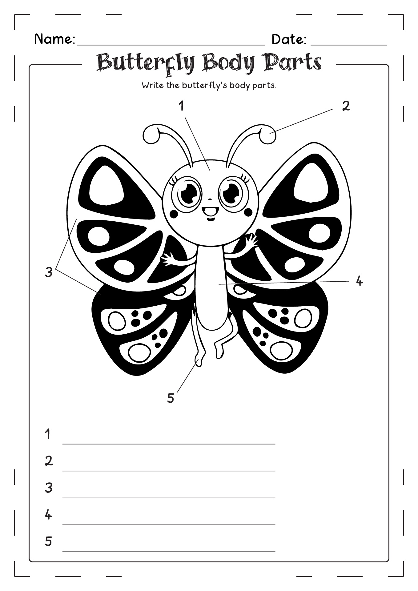 Butterfly Body Parts Worksheet
