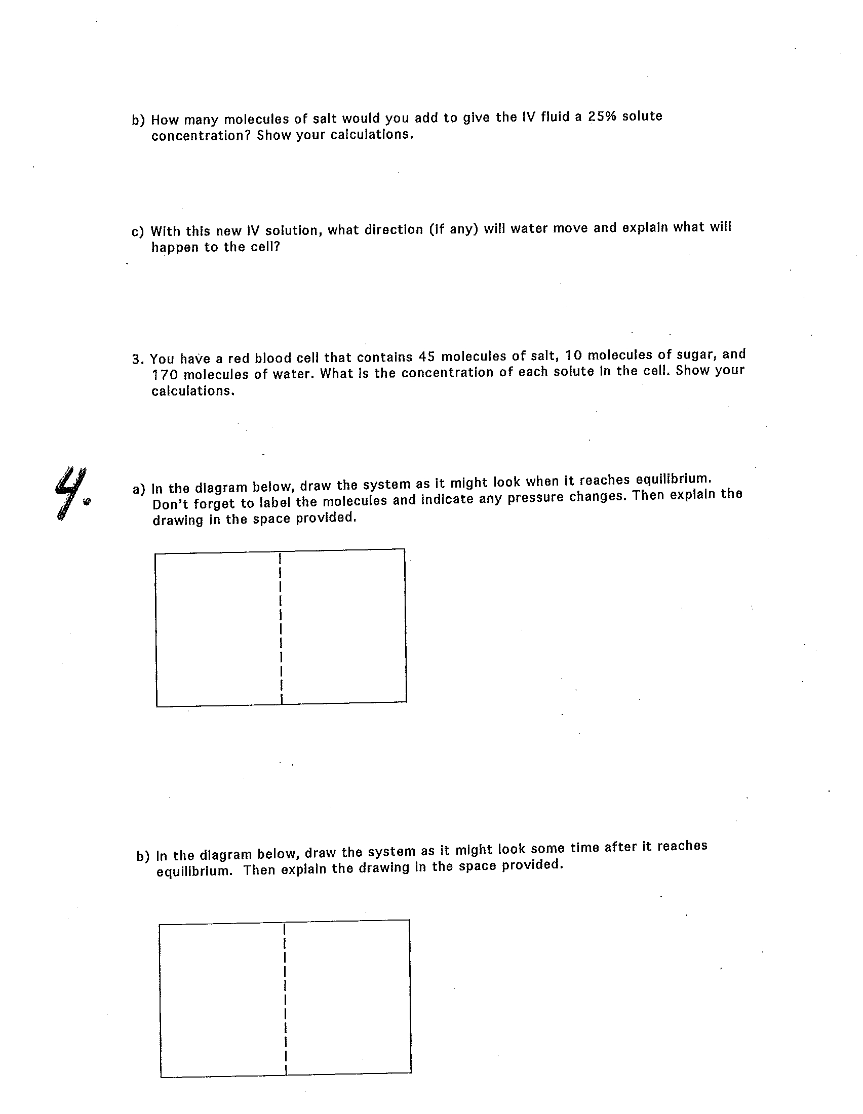 Diffusion and Osmosis Worksheet Answer Key
