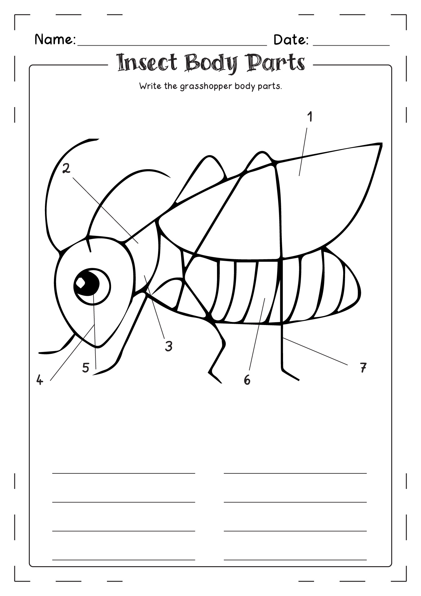 Free Insect Body Parts Worksheet