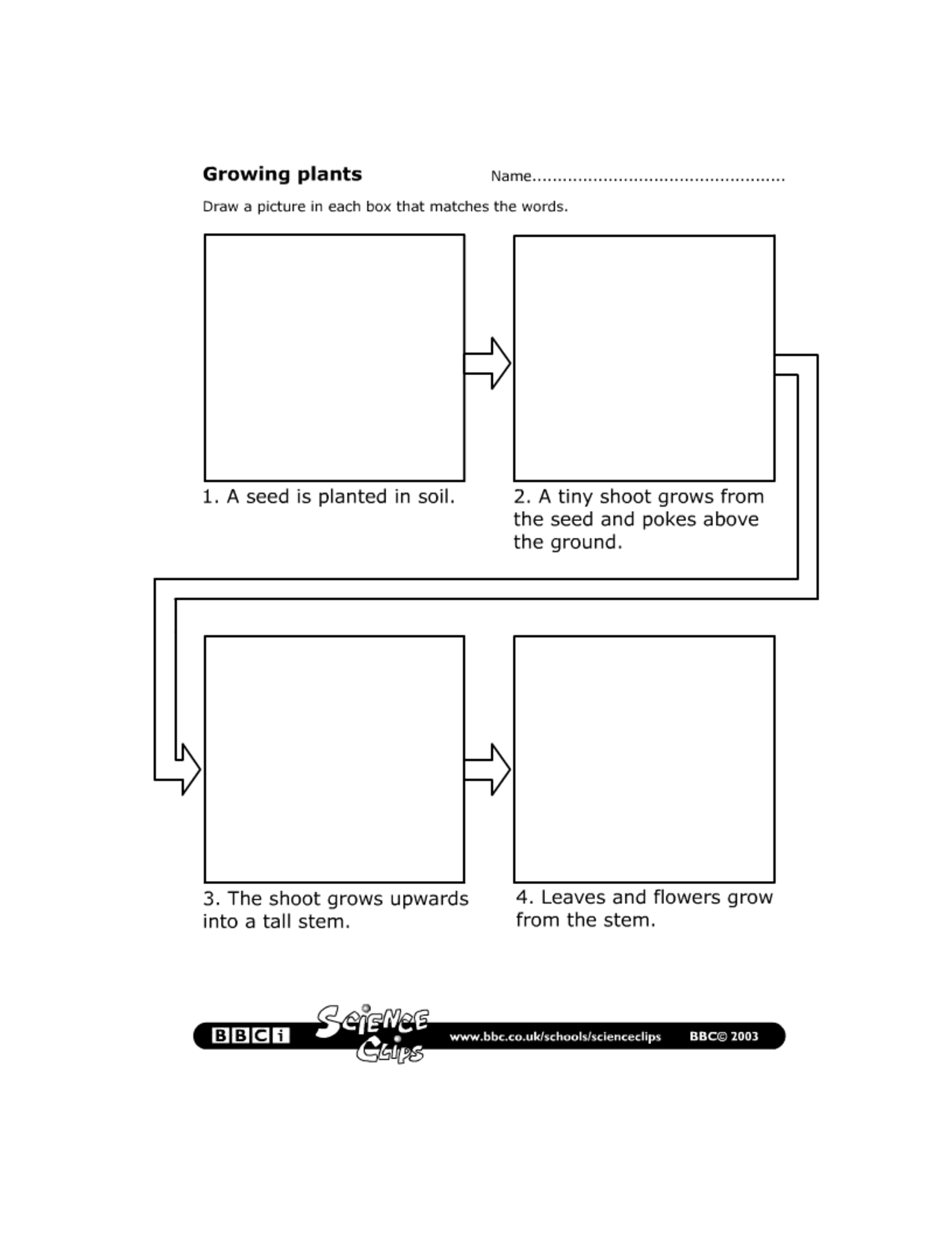 Growing Plants Worksheet Image