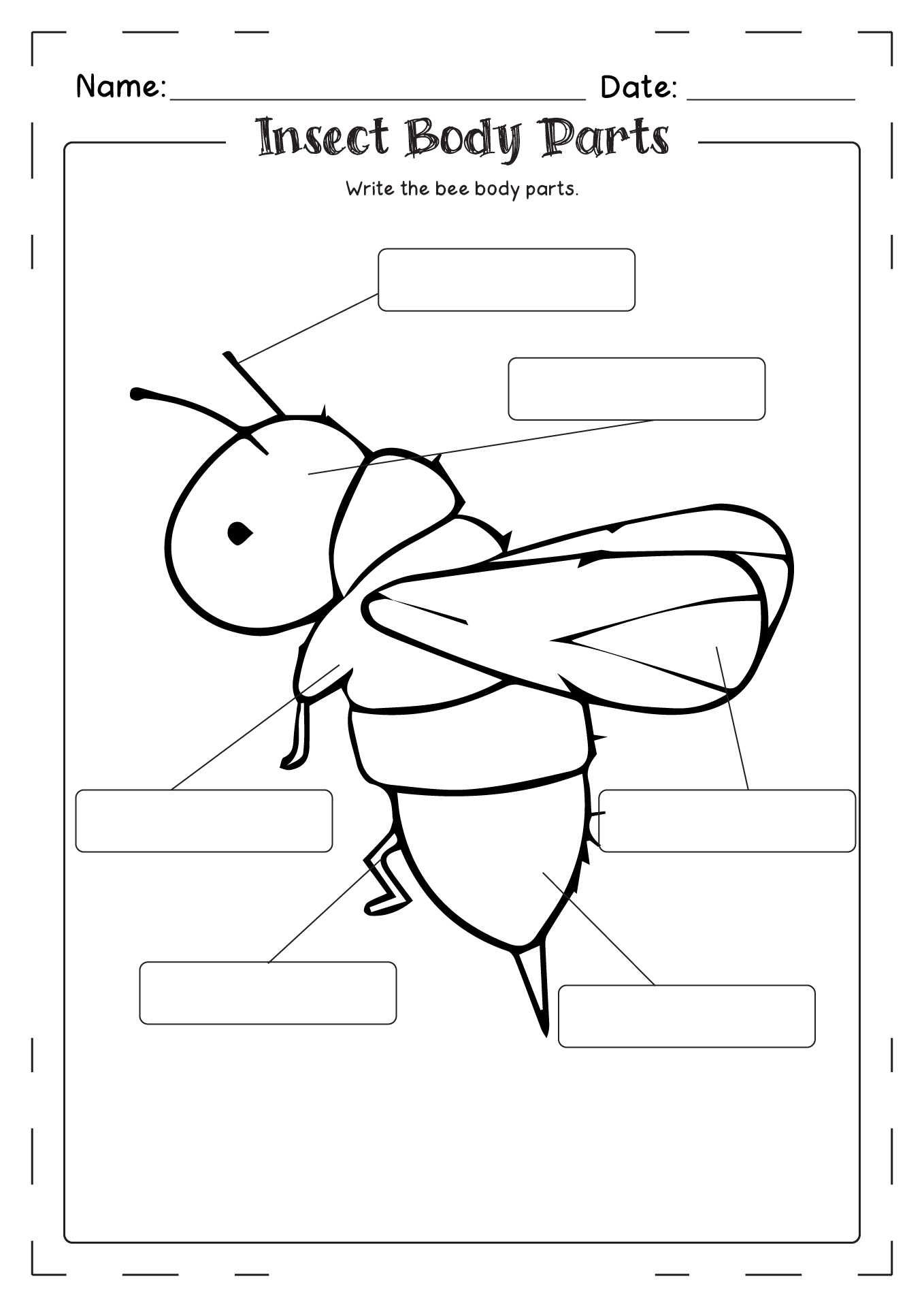 13 Best Images of Parts Of A Butterfly Worksheet - Butterfly Body Parts ...