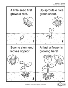 Plant Life Cycle Booklet Image