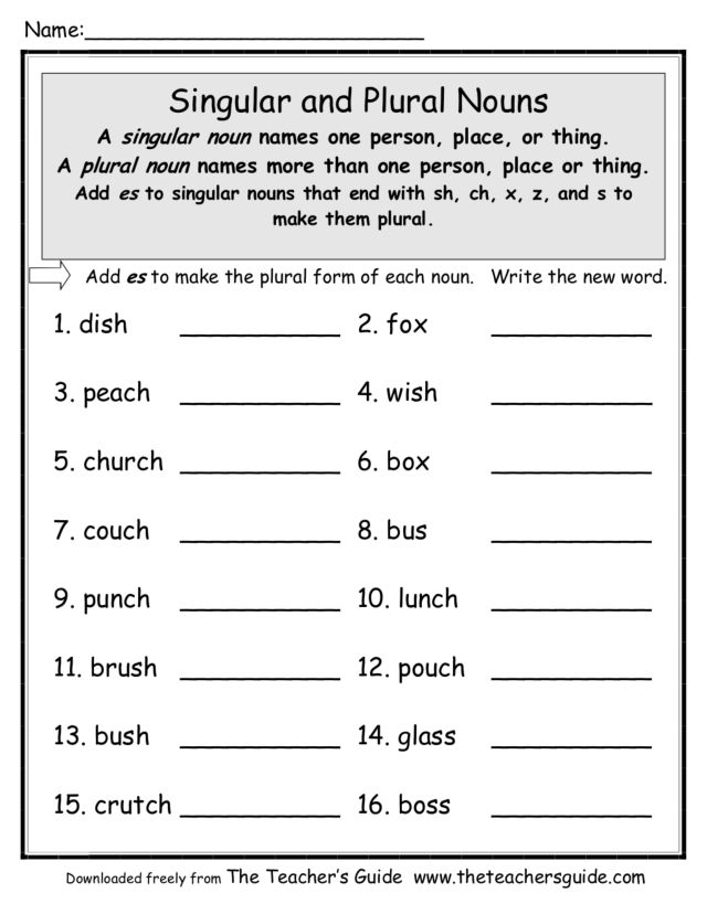 17 Irregular Plural Nouns Worksheet 2nd Grade Worksheeto