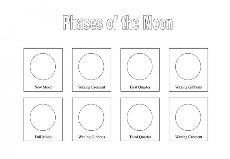 13-moon-phase-blank-worksheet-worksheeto