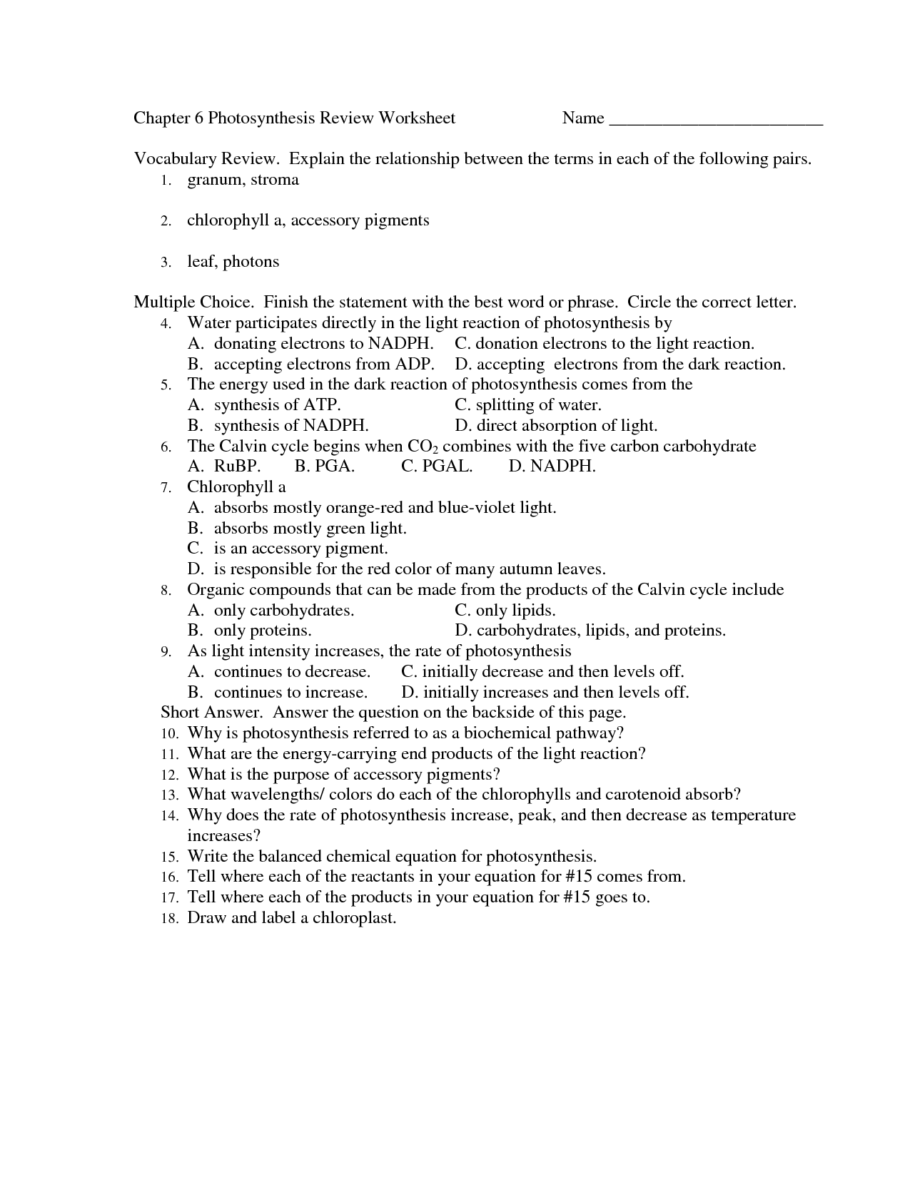 Photosynthesis Review Worksheet Answers