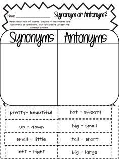 Synonyms and Antonyms PDF Image