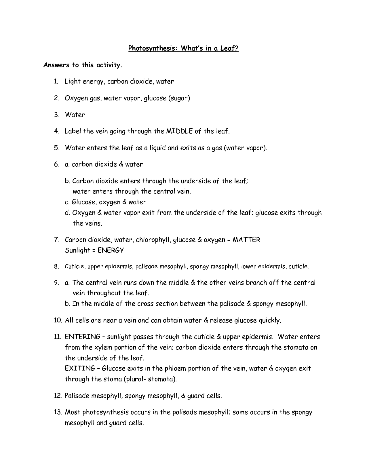 15-photosynthesis-worksheet-answer-key-worksheeto