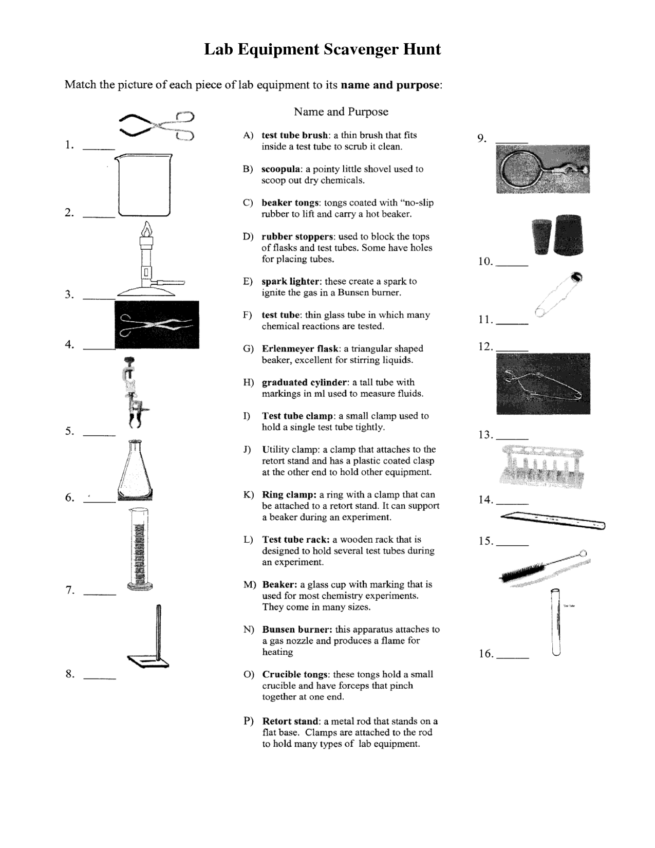 12 Best Images of Laboratory Equipment Worksheet - Science Lab ...