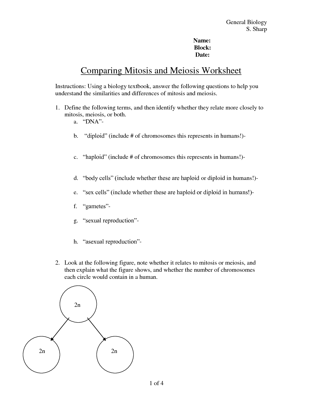 Compare Mitosis and Meiosis Worksheet Image