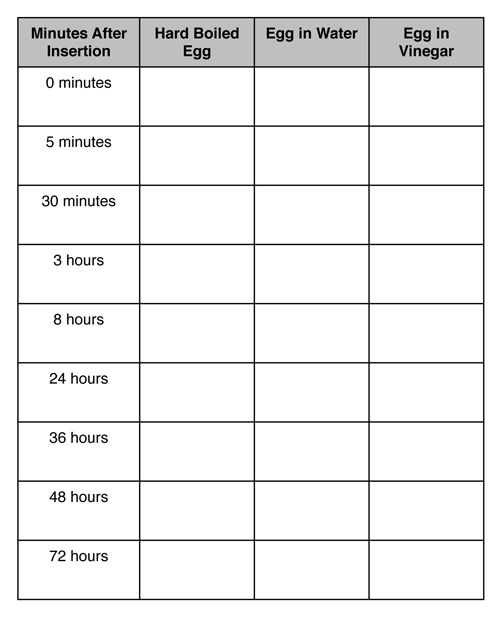 13-the-compound-effect-worksheets-worksheeto