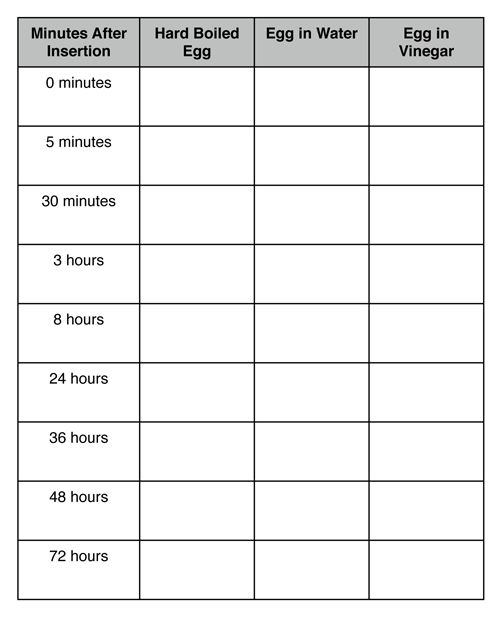 Egg and Vinegar Experiment Worksheet