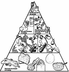 Food Pyramid Coloring Printables Image