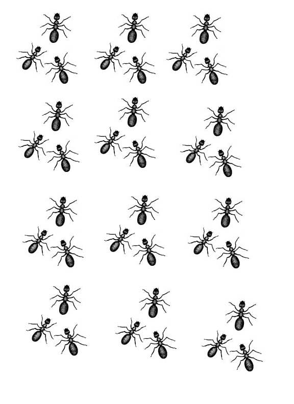 10-free-printable-ant-worksheets-worksheeto
