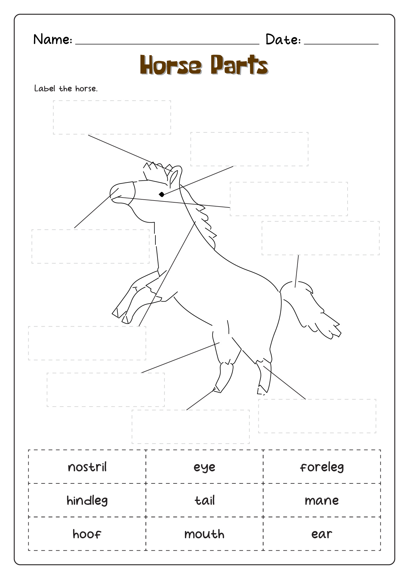 Blank Horse Parts Worksheet
