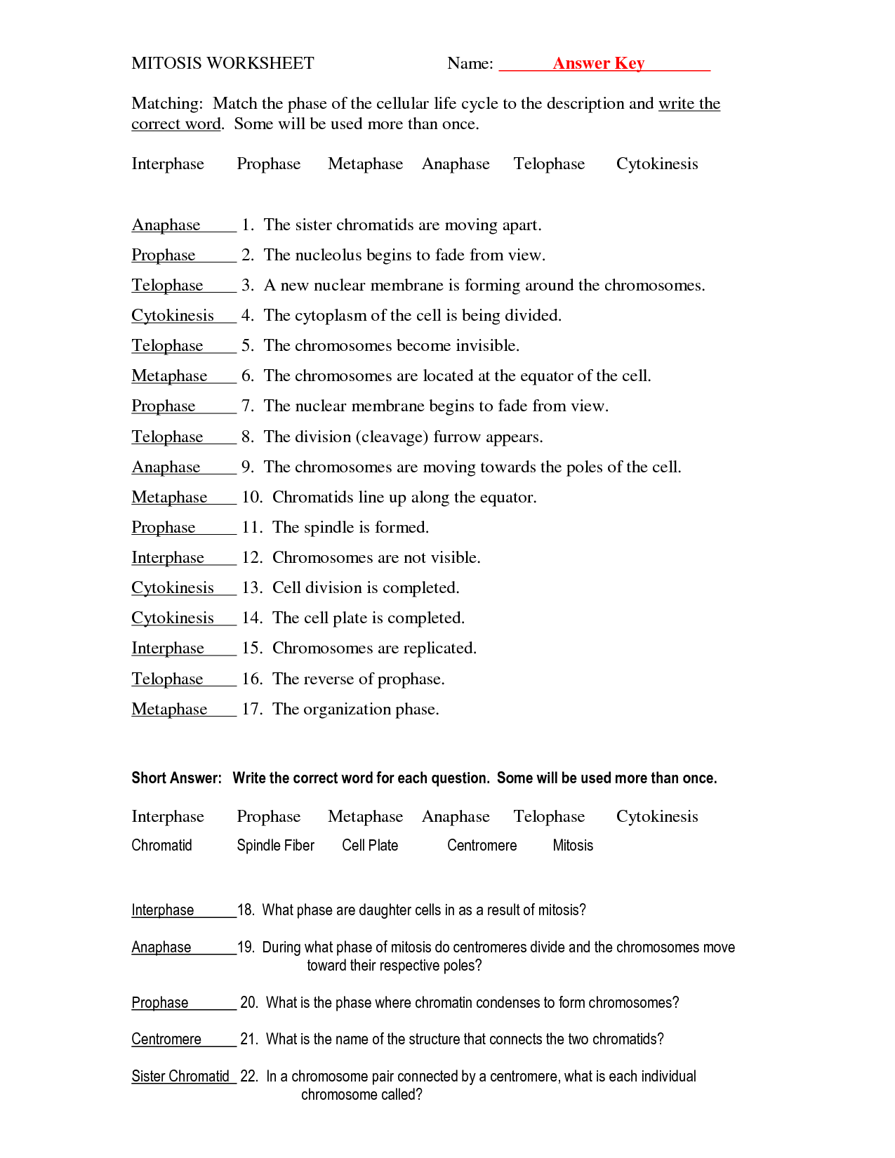 18-best-images-of-biology-cells-worksheets-answer-keys-worksheeto