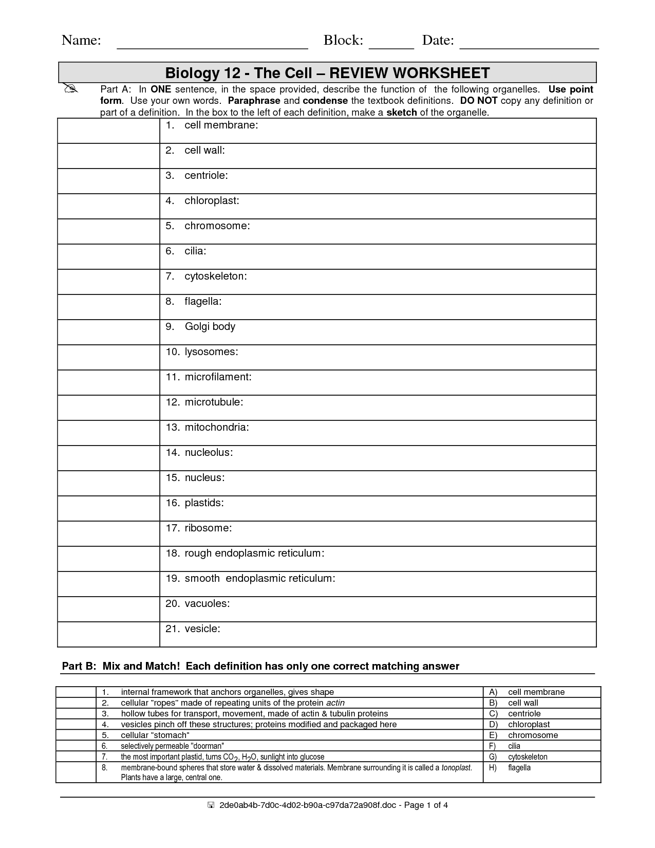 Cell Organelles Worksheet Answers Image