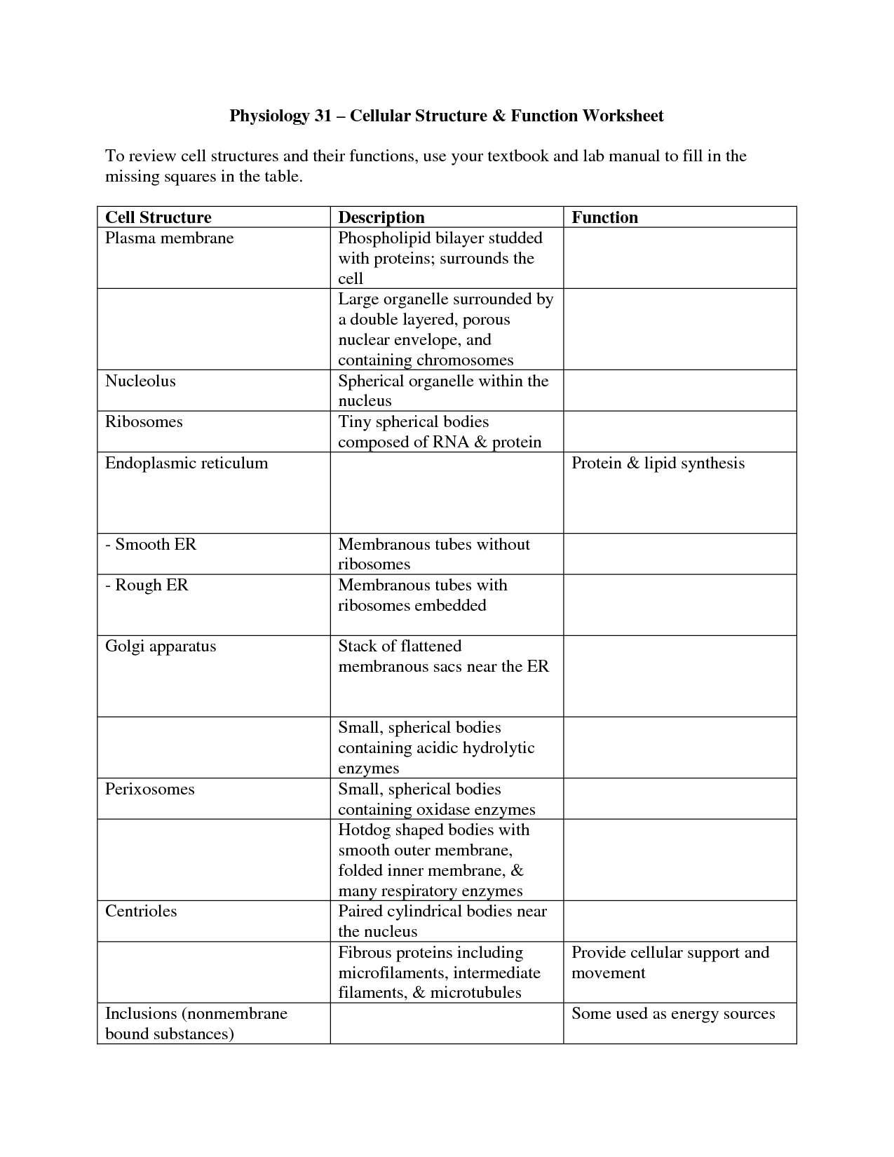 Cell Structure and Function Worksheet Answers Image