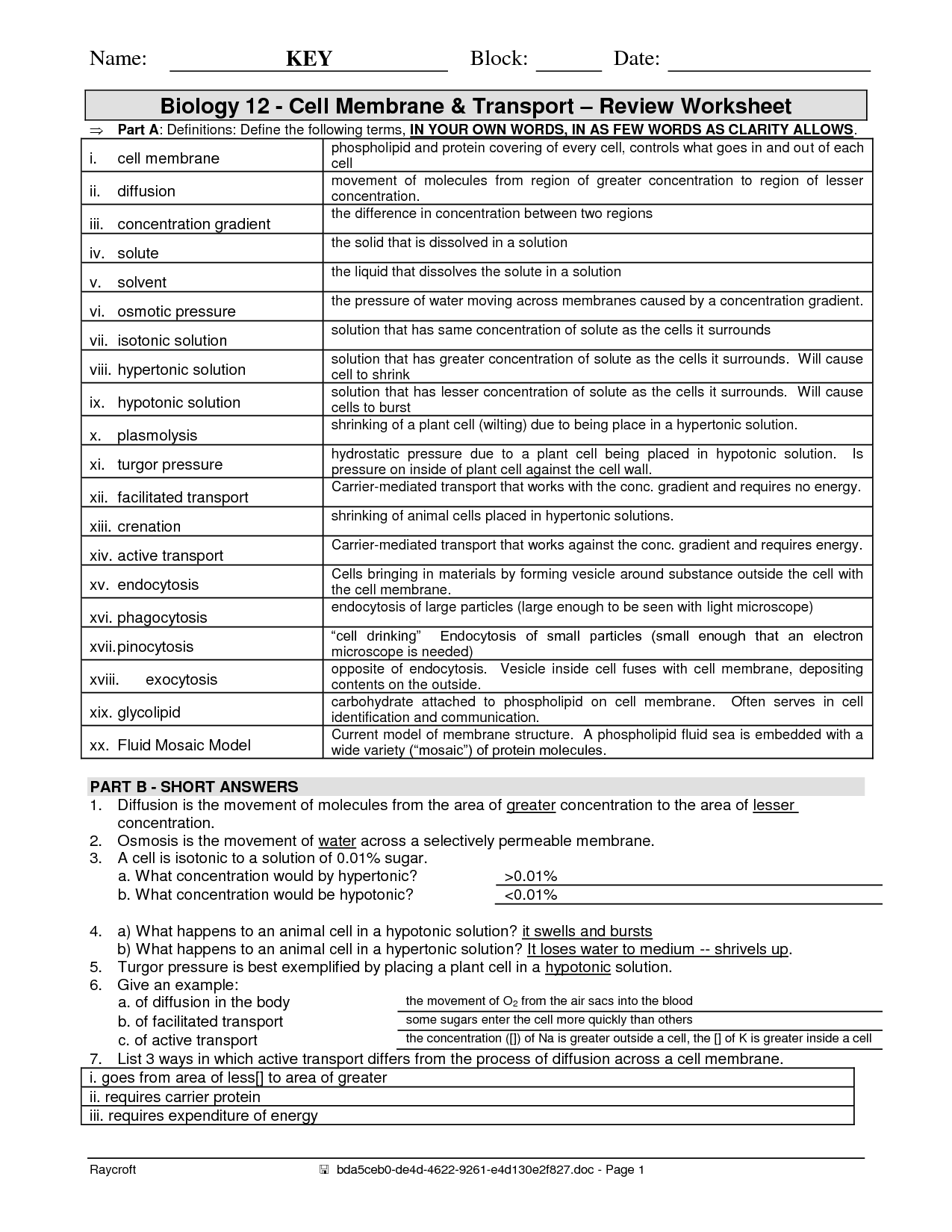 Cell Transport Worksheet Answer Key Review