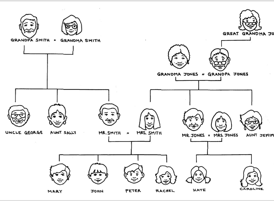 Family Tree Vocabulary Worksheets Image