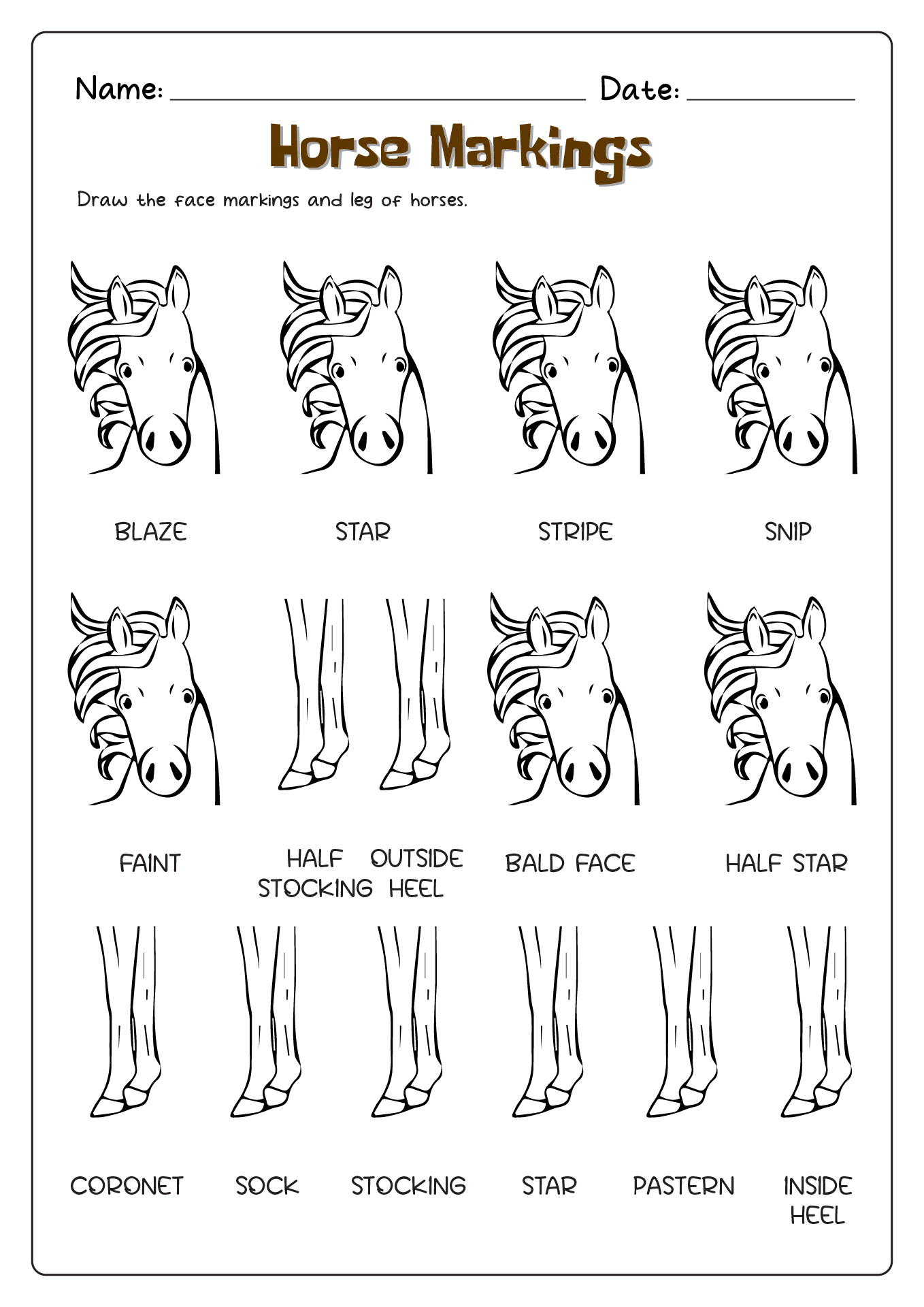 Horse Face Markings and Leg Worksheet