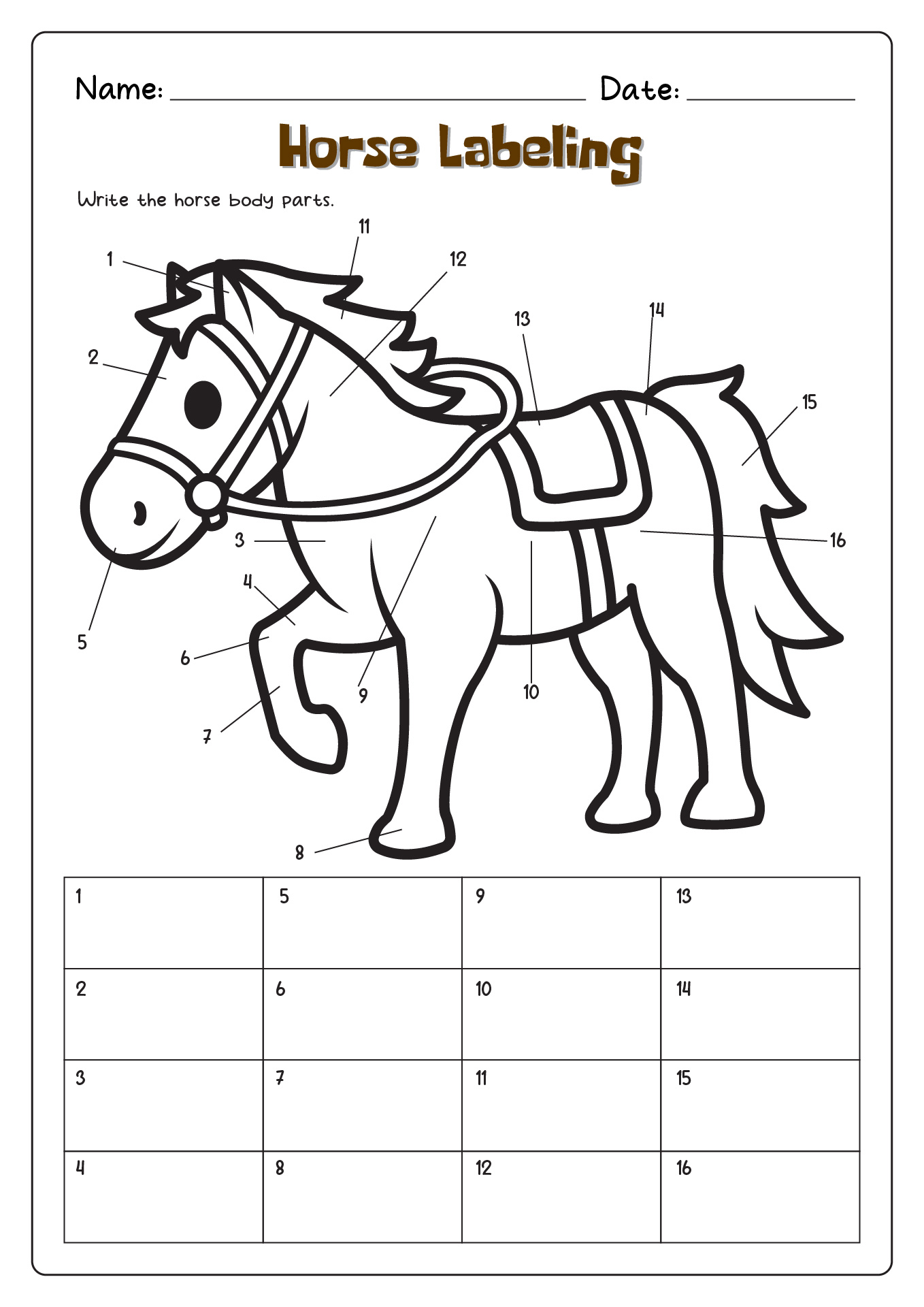 Horse Labeling Worksheet