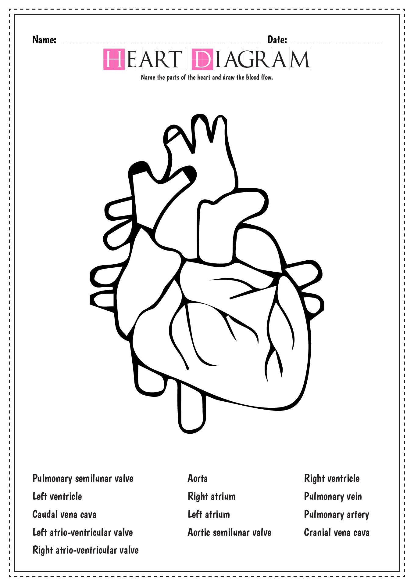 12 Blank Heart Diagram Worksheet With Word Bank Free PDF At