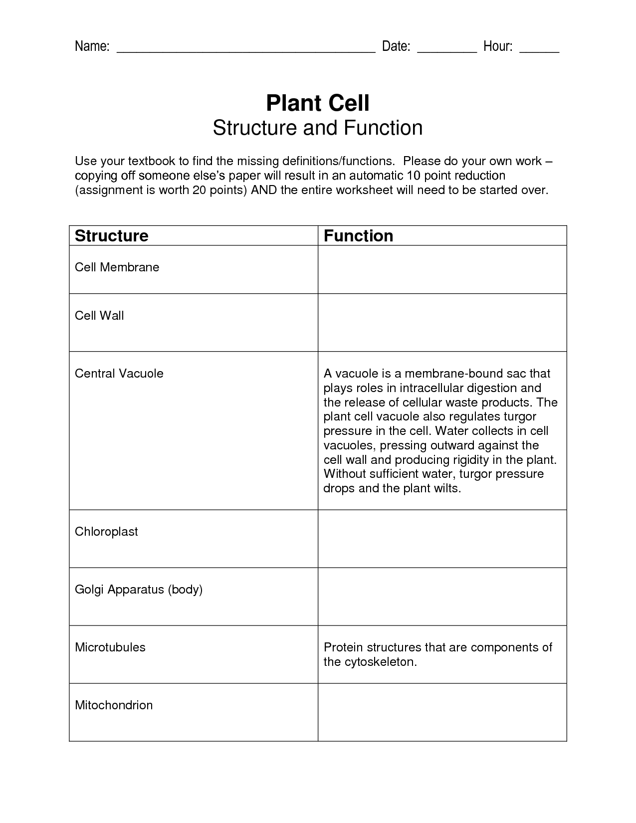 Plant Cell Structure and Function Chart Image