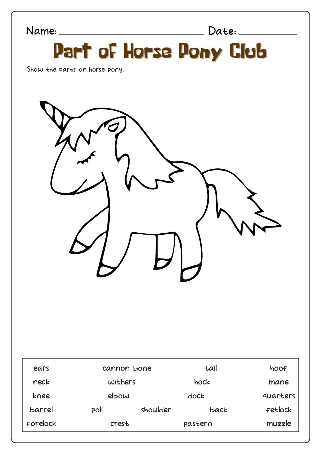 Worksheet Parts of a Horse Pony Club