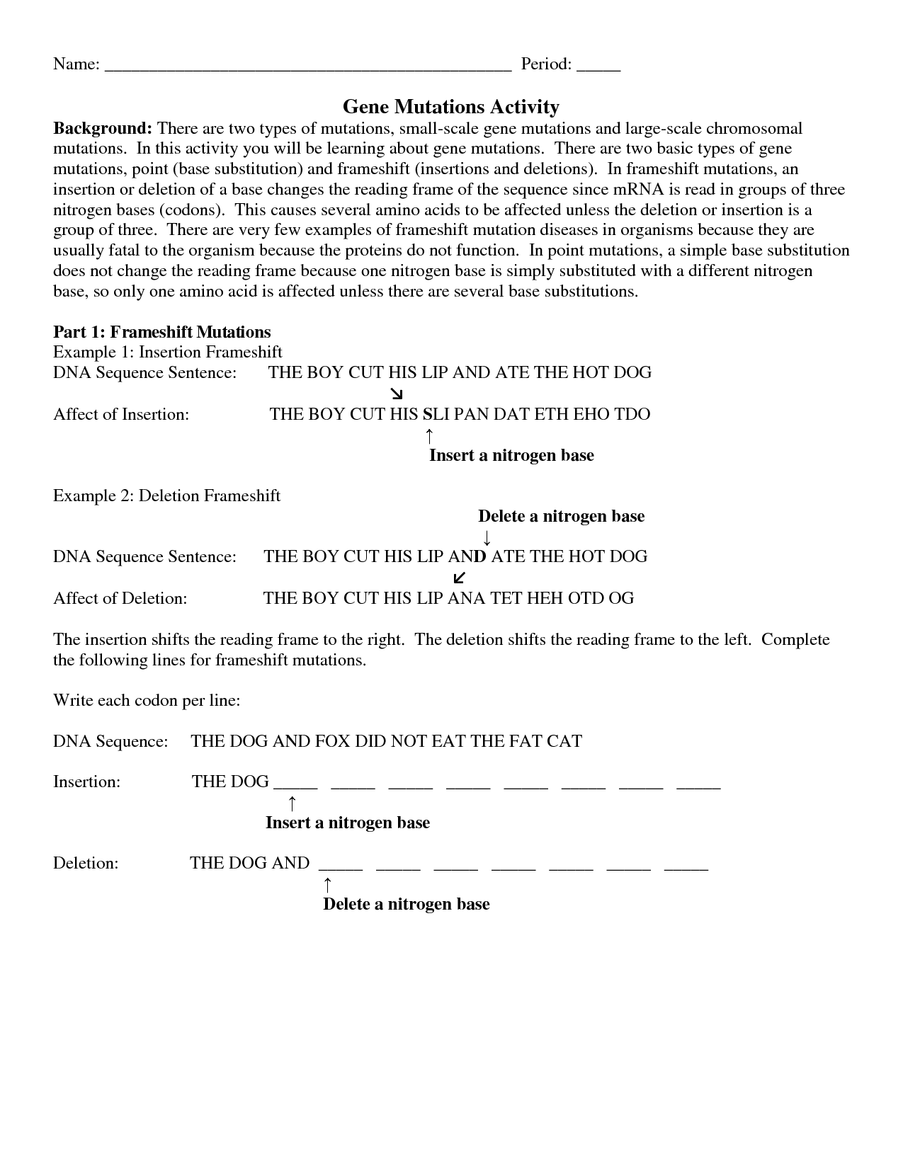 Gene Mutations Worksheet Answer Key