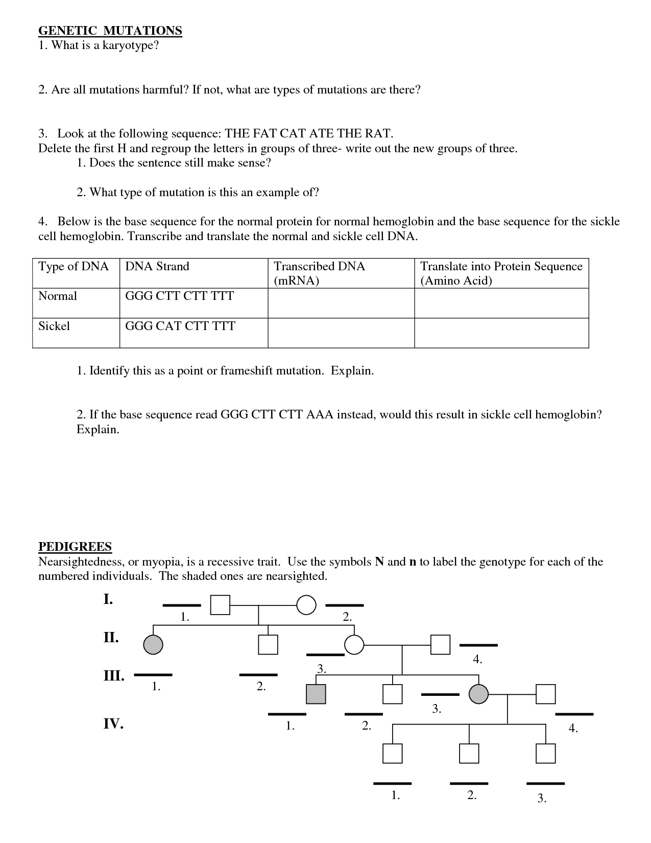 Gene Mutations Worksheet Answers