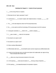 Gene Mutations Worksheet Answers
