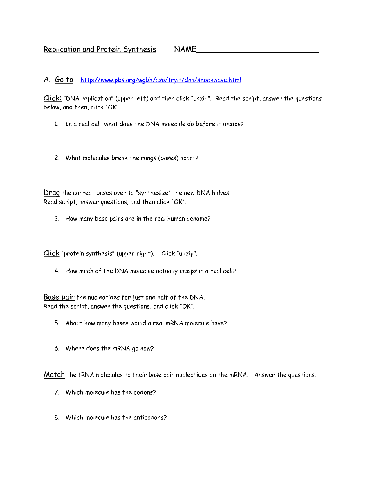 WebQuest Answer Key DNA and Protein Synthesis