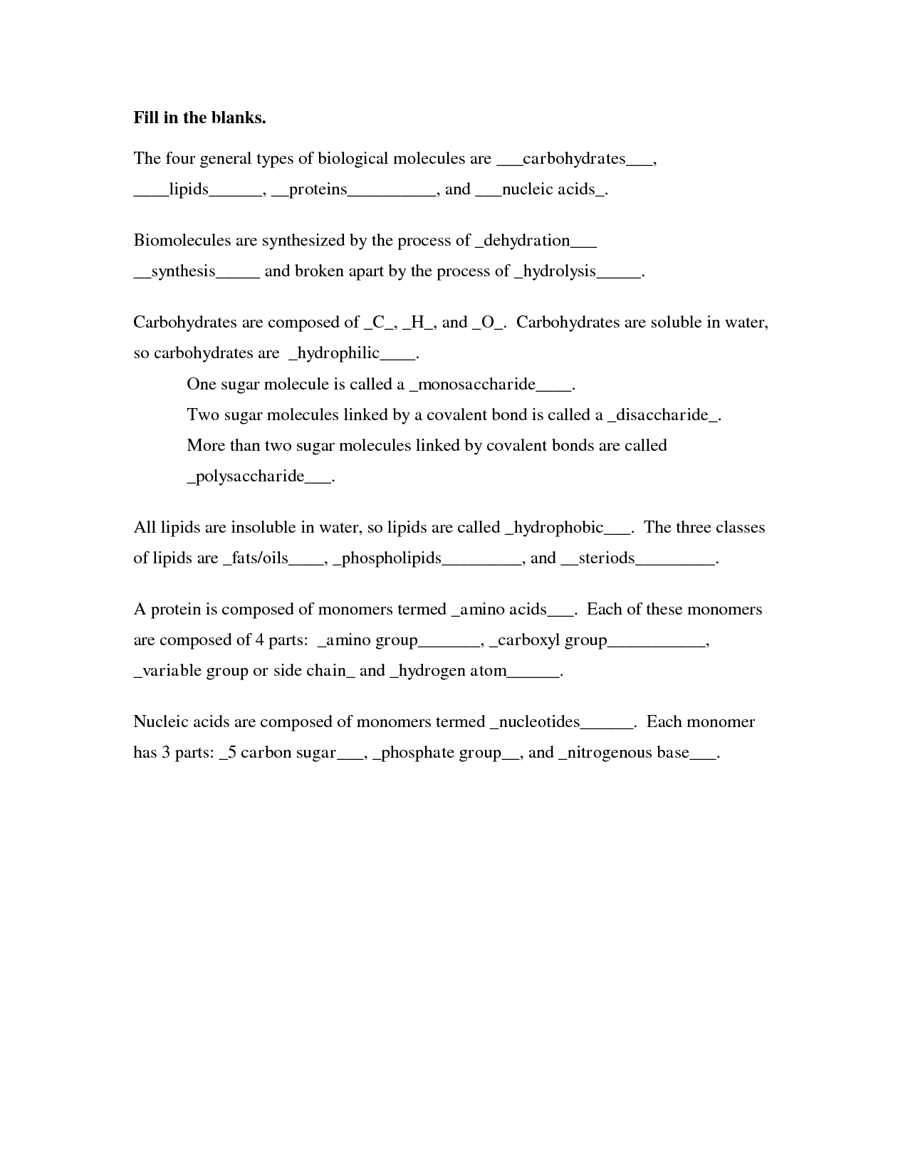 Carbohydrates Lipids and Proteins Worksheet Image