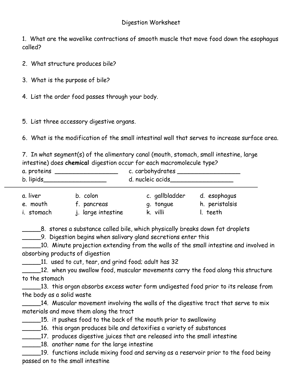 Digestion Worksheet Answer Key Image