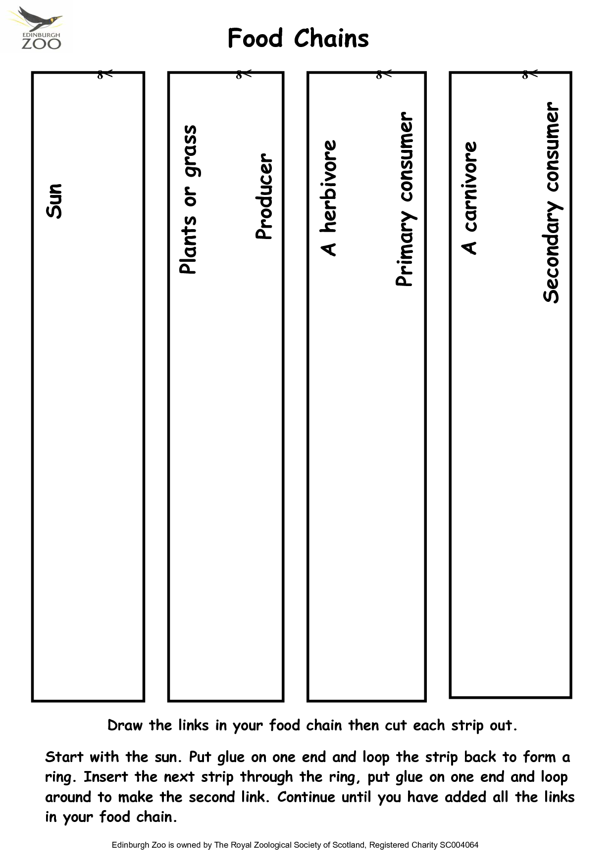 12 Food Chain Worksheetpdf worksheetocom Biology Diagrams