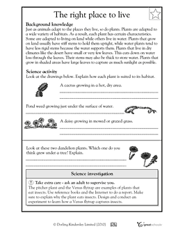 4th Grade Science Worksheets Plants Image