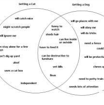 Compare and Contrast Venn Diagram Worksheet Image