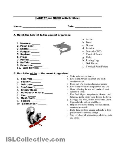 Free Printable Reading Worksheets High School Image