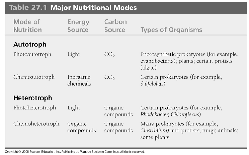 Nutritional Modes in Prokaryotes Image