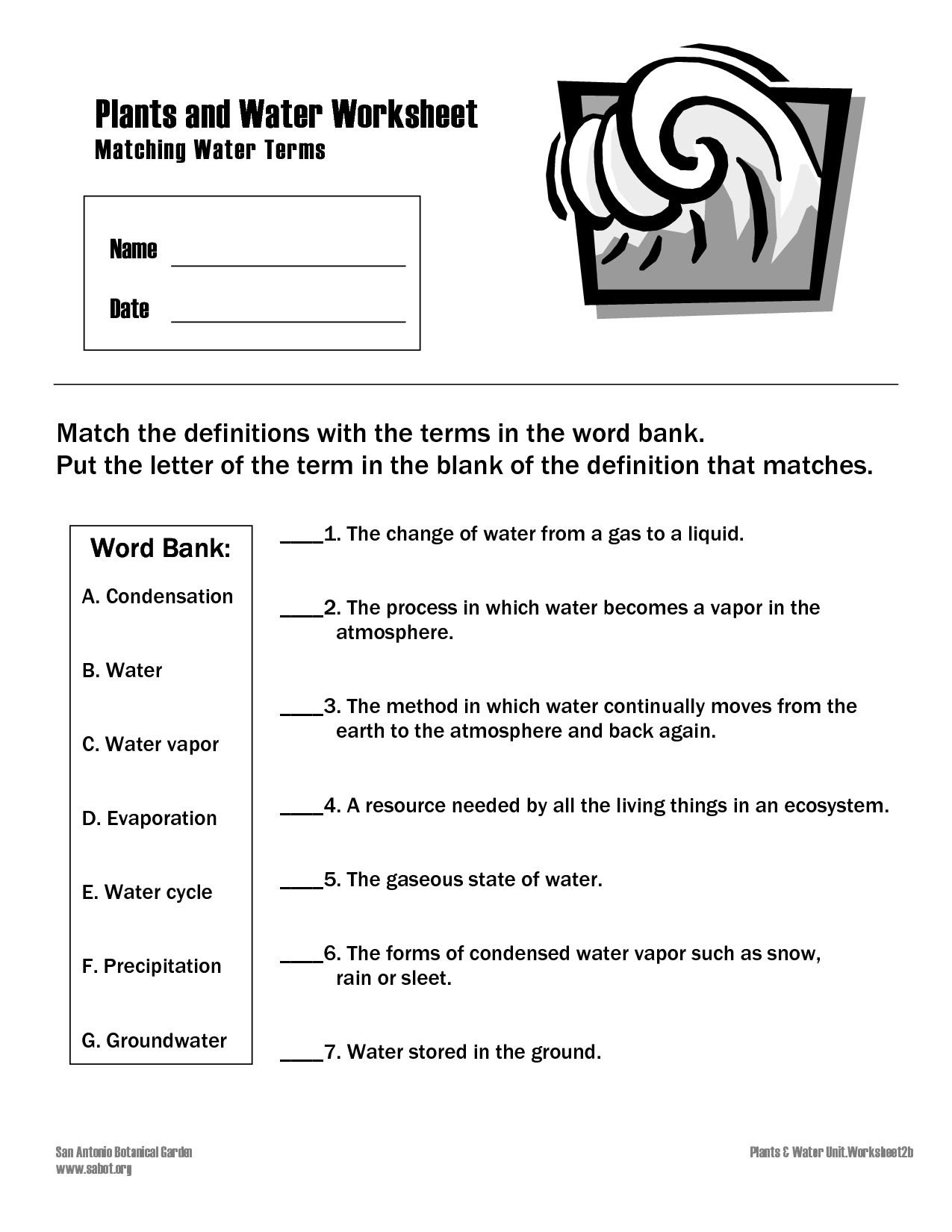 12 Plants And Their Parts Worksheet /