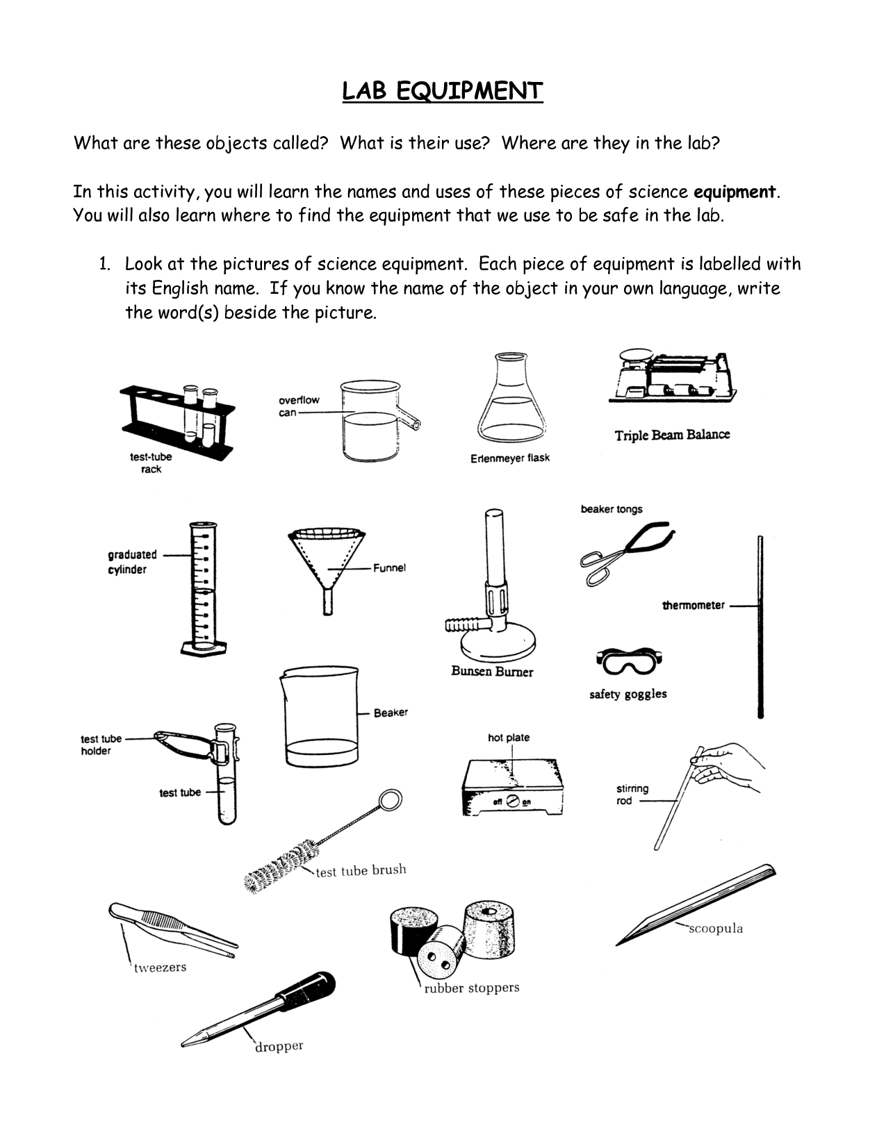 Science Lab Equipment Worksheet Image