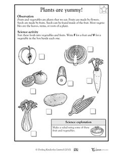 1st Grade Science Worksheets Plants Image
