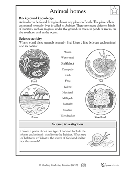 2nd Grade Science Animal Habitat Worksheet