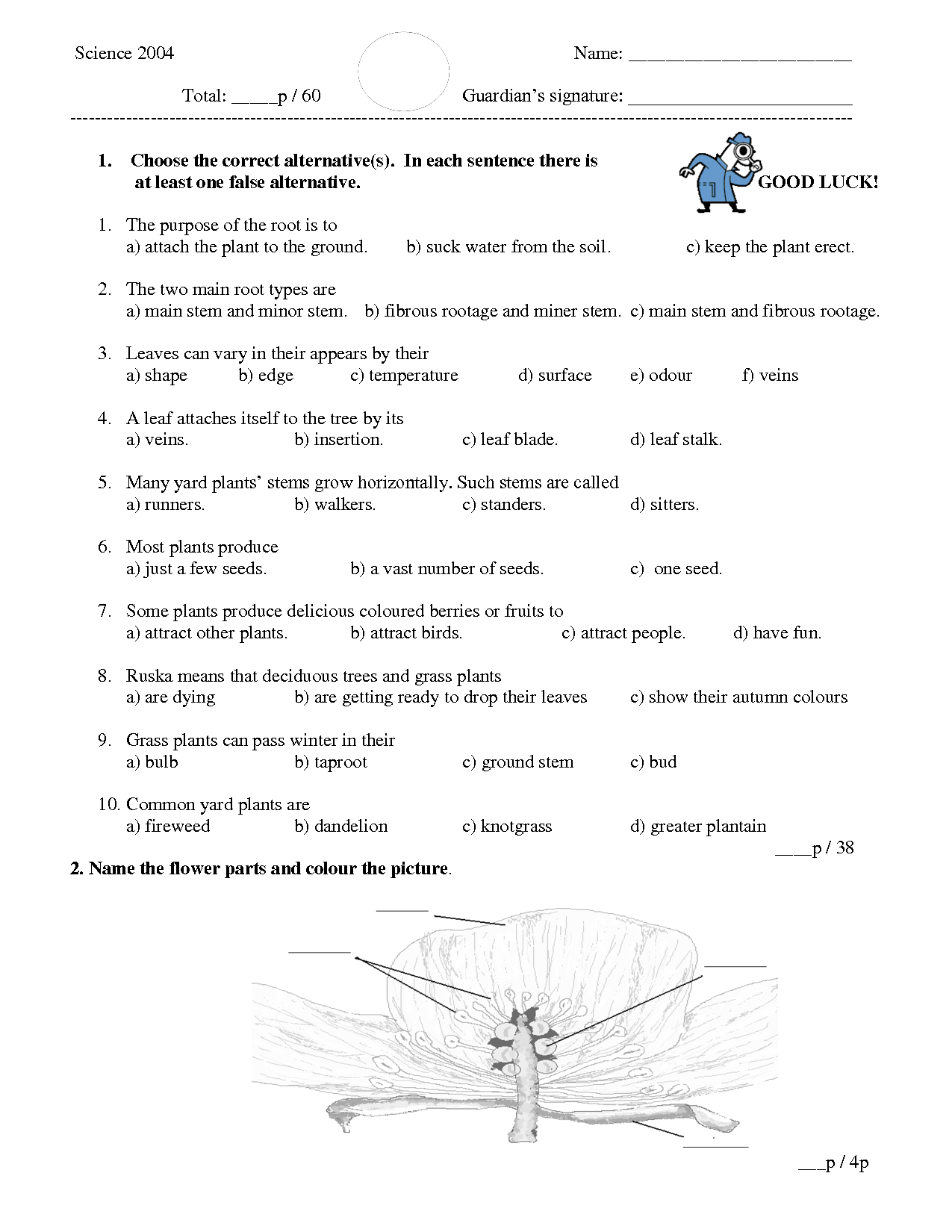 3rd Grade Science Test Plants